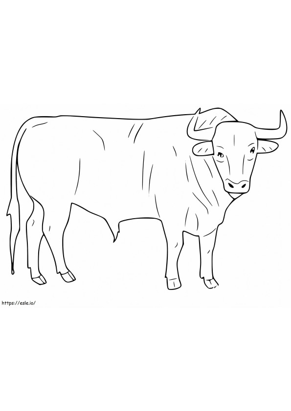 Bull 3 coloring page