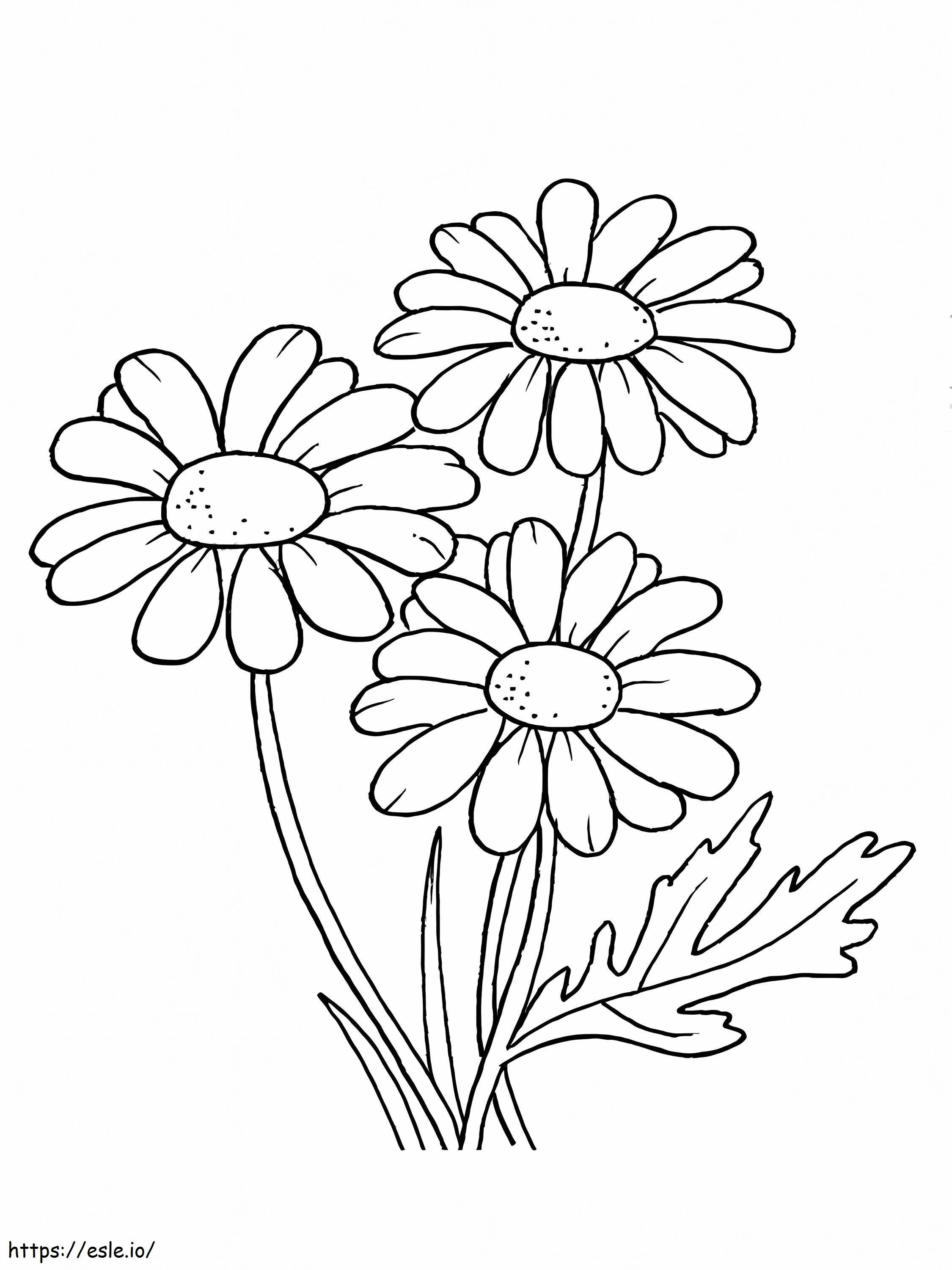 Three Daisies coloring page