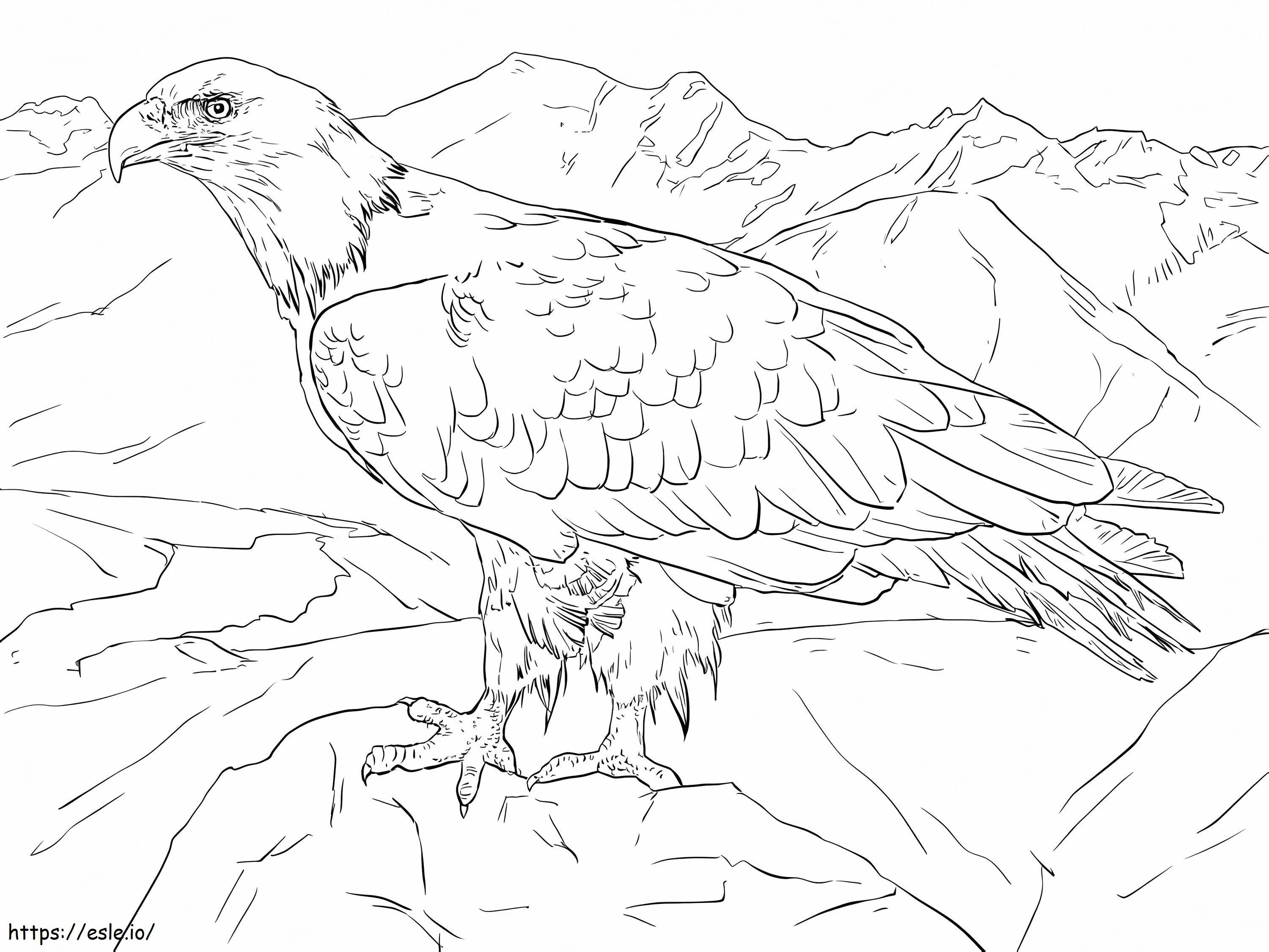 Ald Eagle do Alasca para colorir