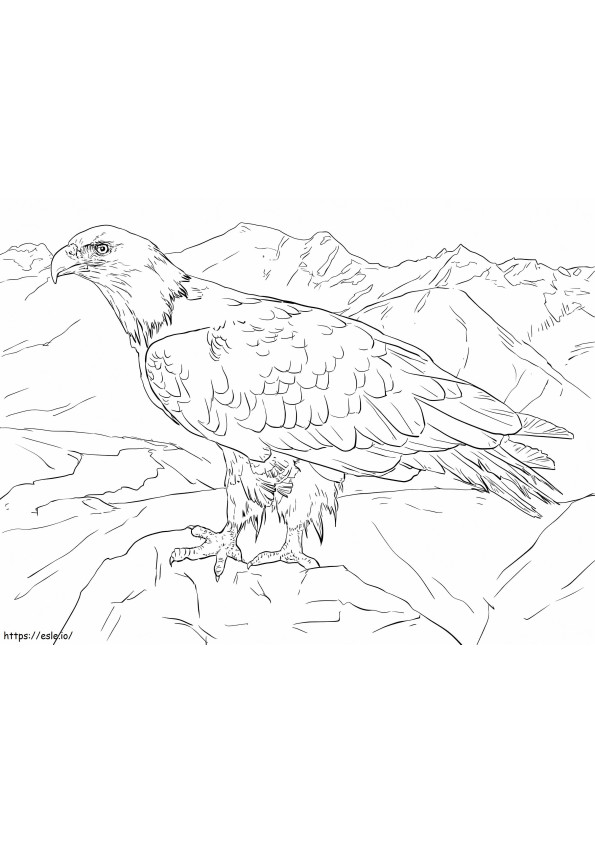 Ald Eagle dall'Alaska da colorare