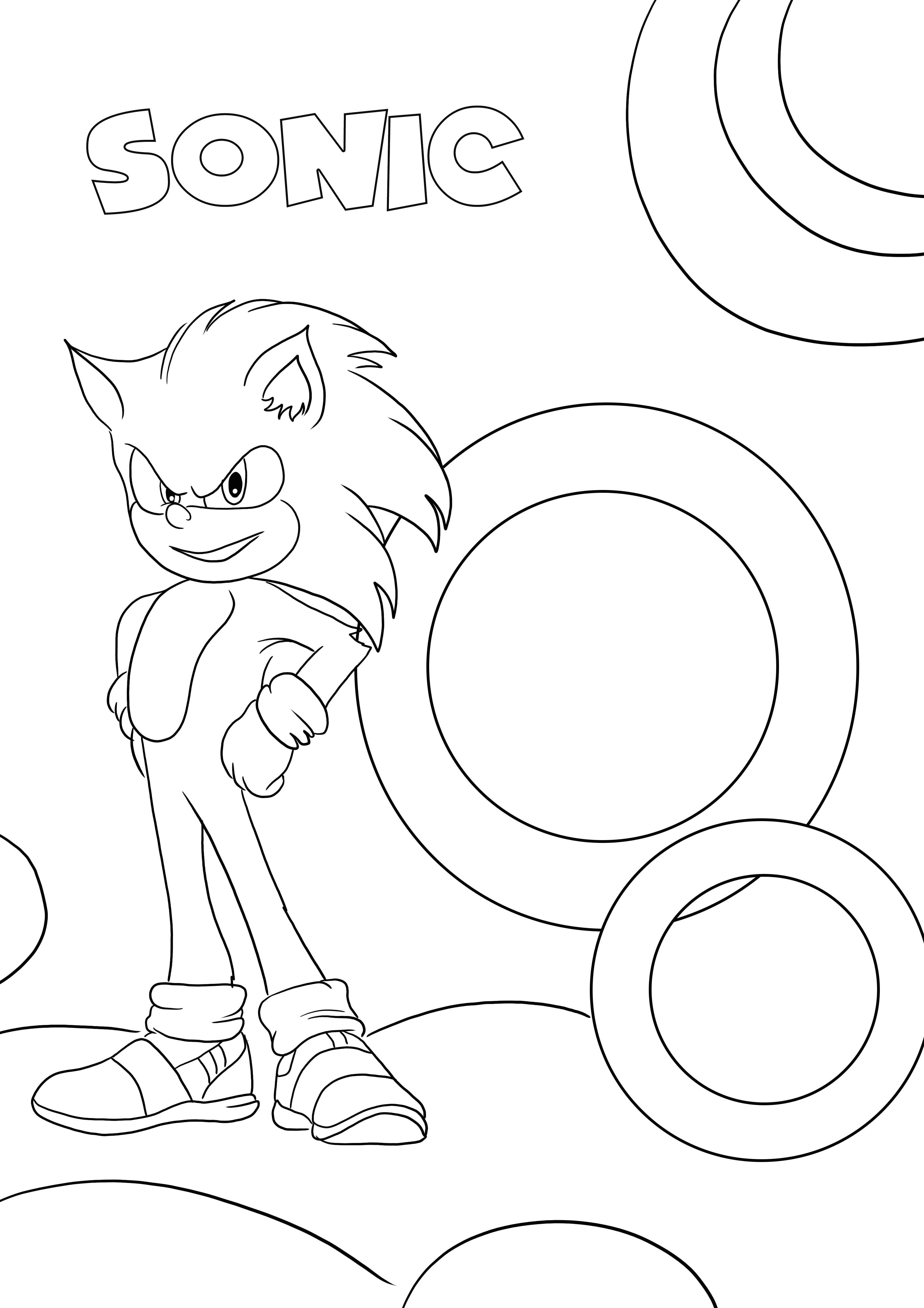 Ulubiona postać Sonic do bezpłatnego drukowania i kolorowania