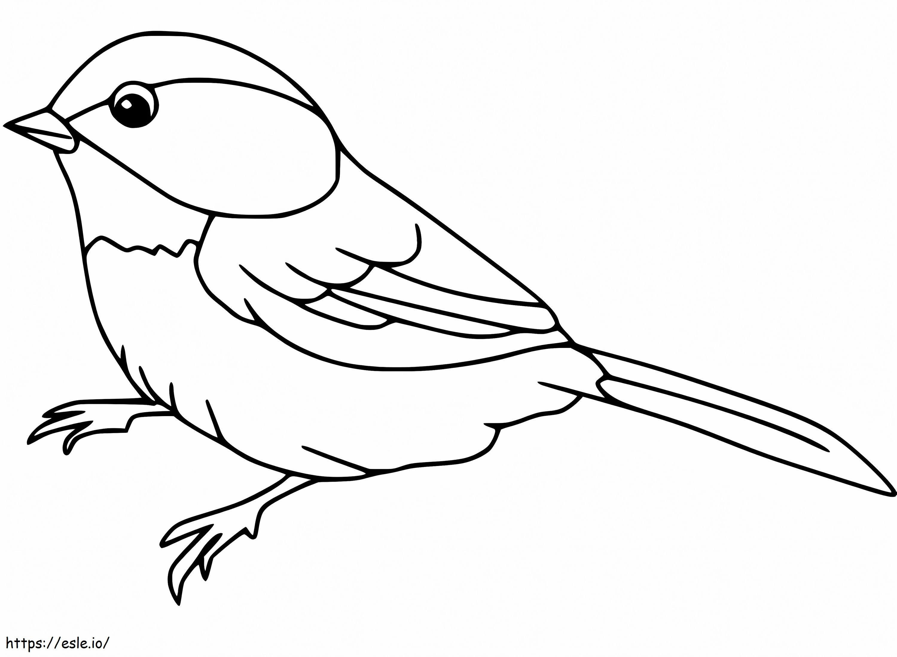 Sparrow Tulostettava värityskuva