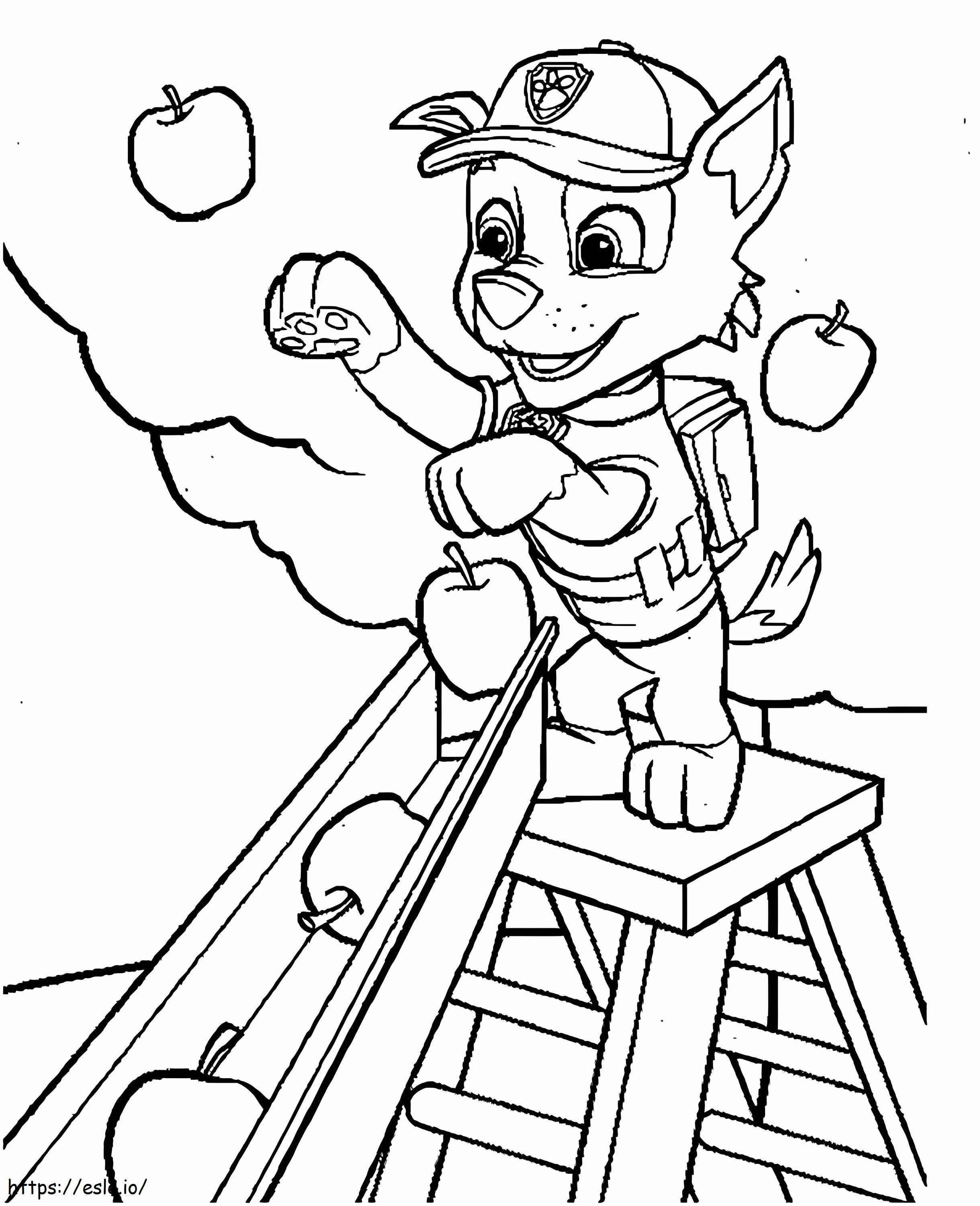 Rocky Picking Apples coloring page