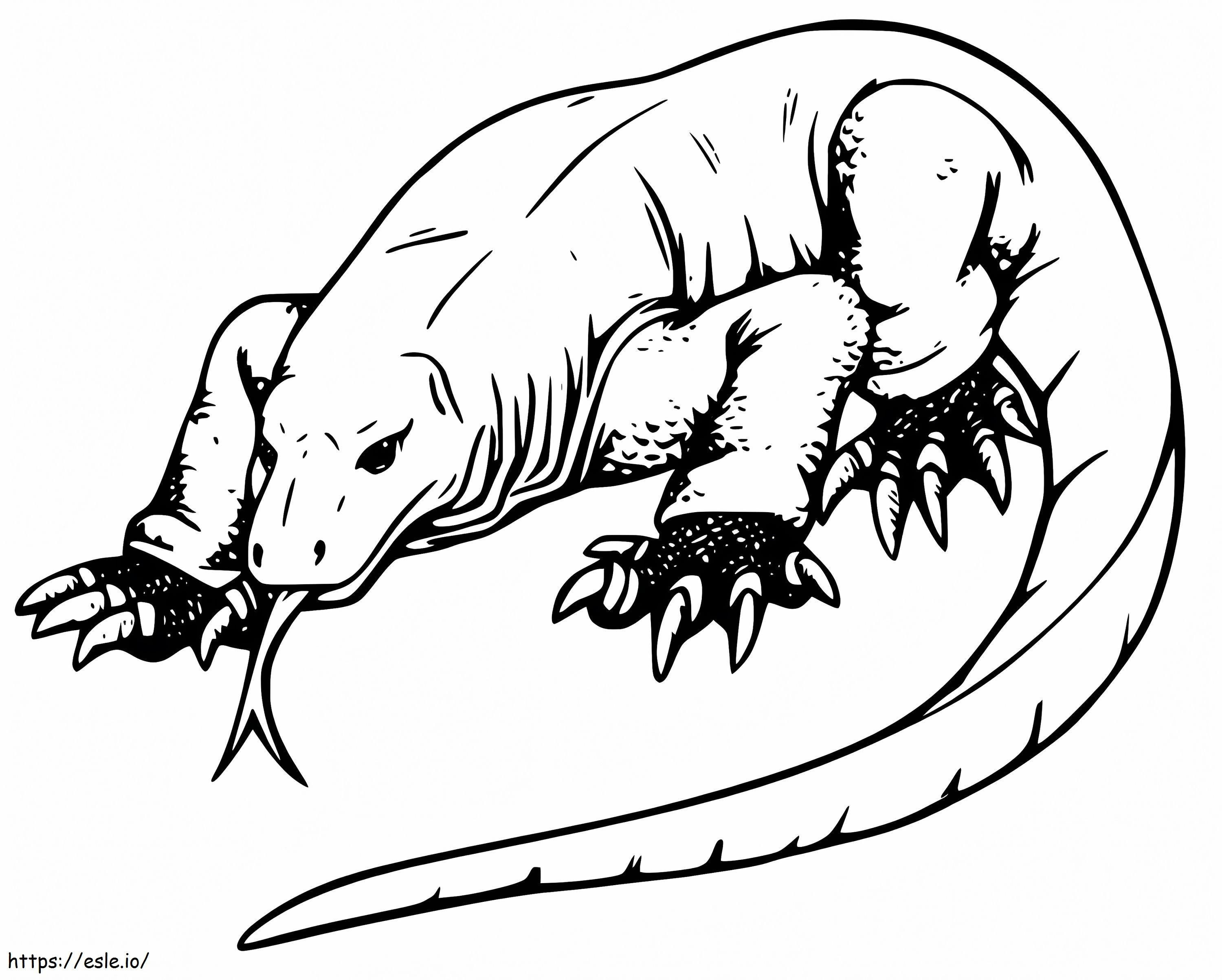 Jättiläinen Komodon lohikäärme värityskuva