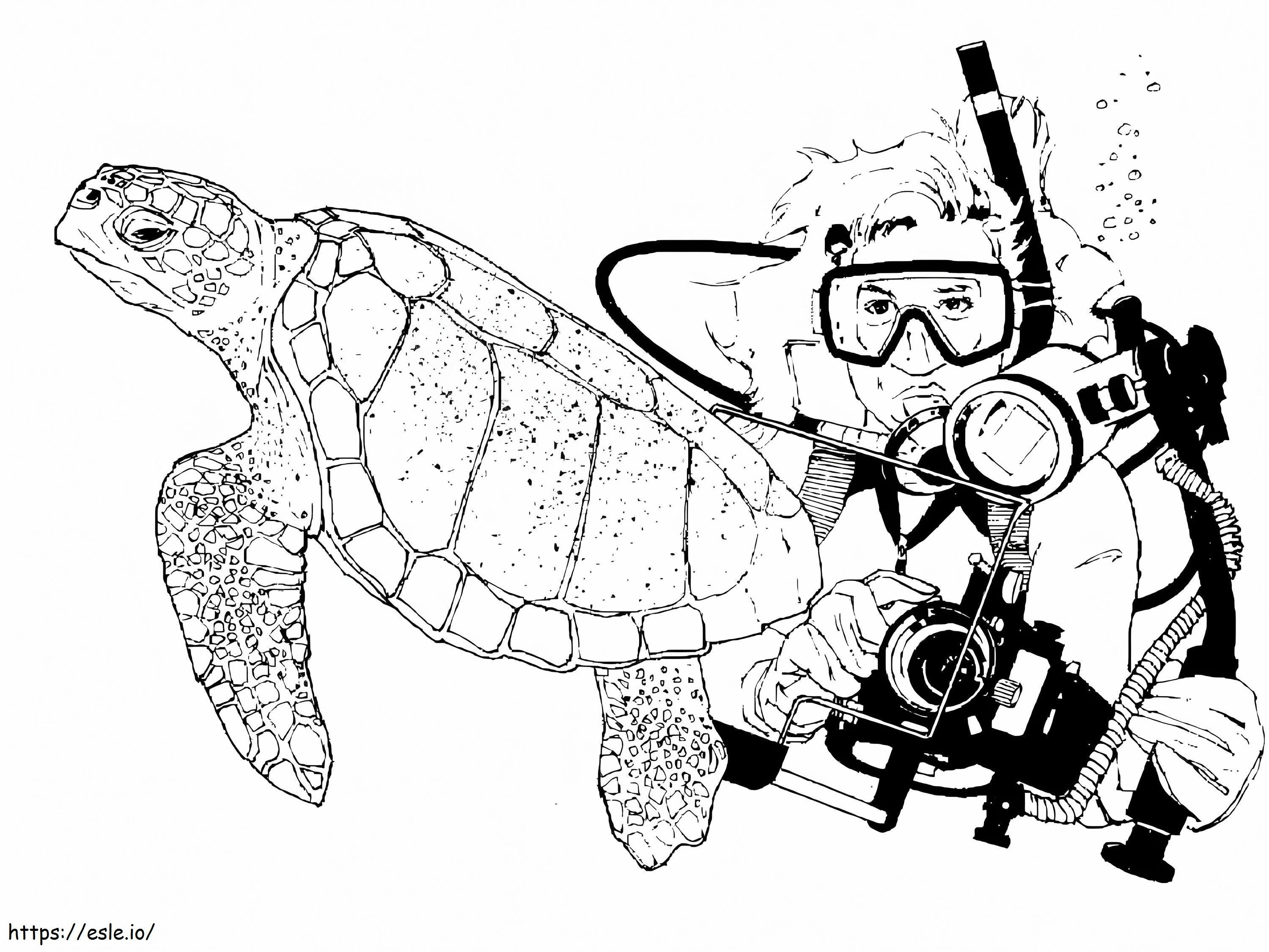 Buceador y tortuga marina para colorear