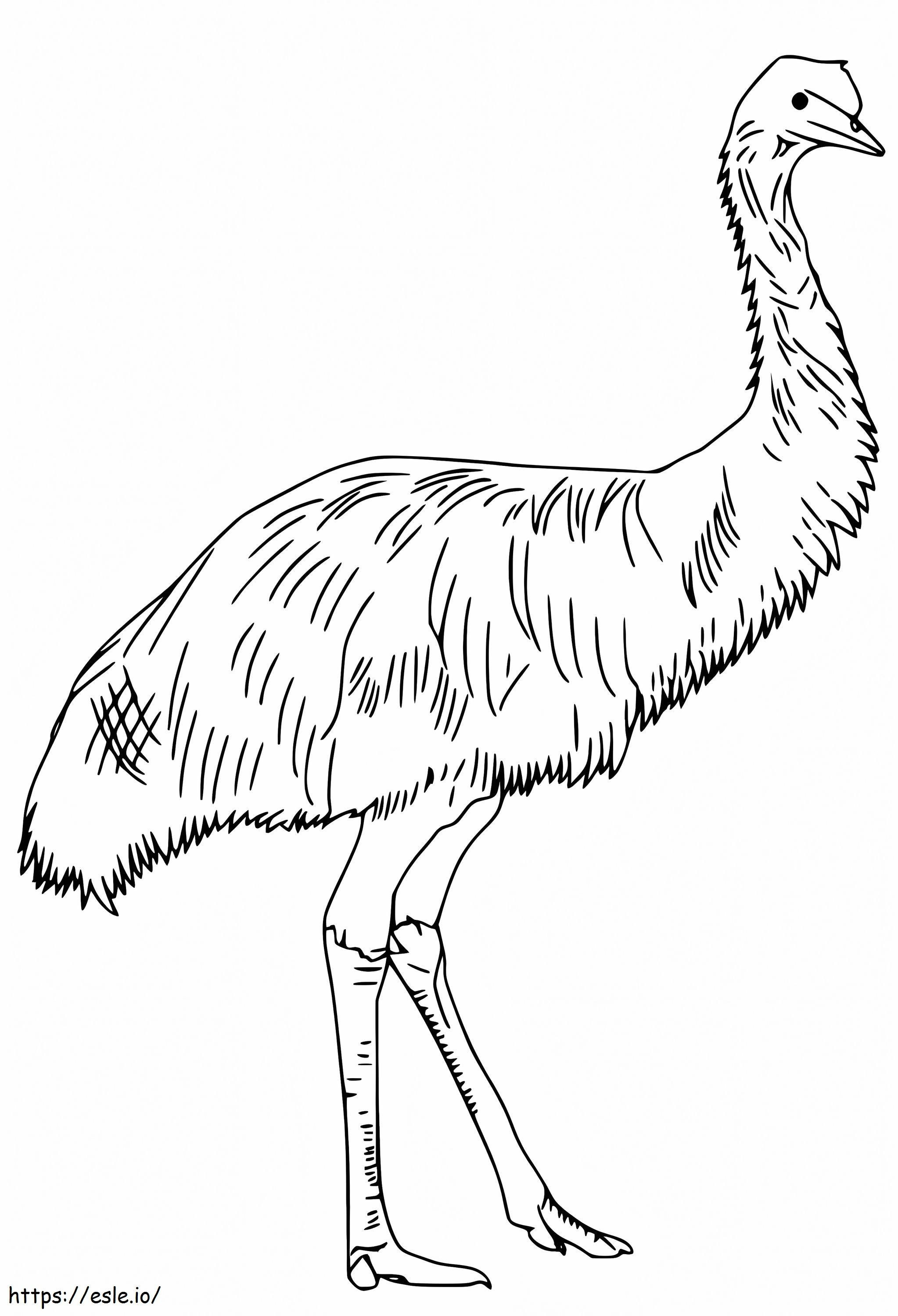 Burung Emu 1 Gambar Mewarnai