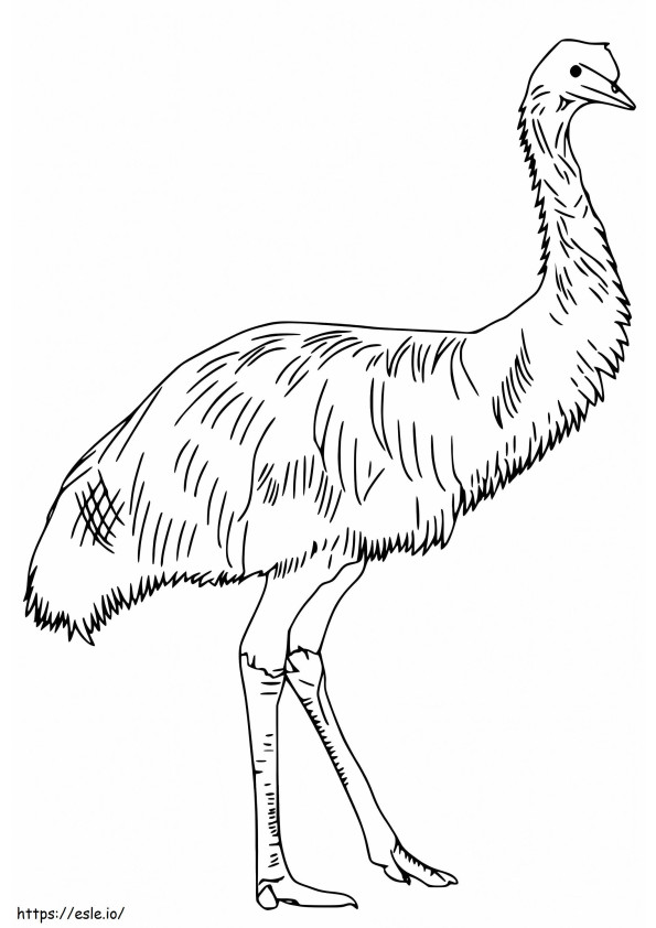 Emu Bird 1 värityskuva
