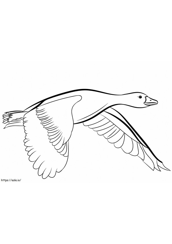 Goose Flying coloring page