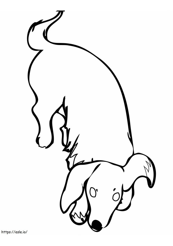 Dachshund 1 coloring page
