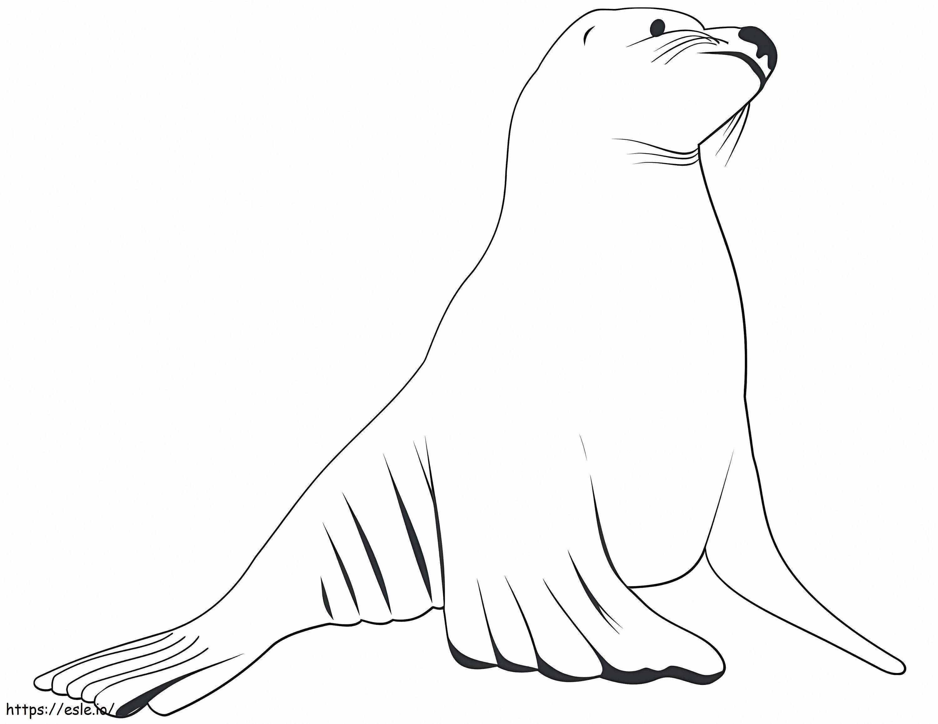 Ein Seelöwe ausmalbilder