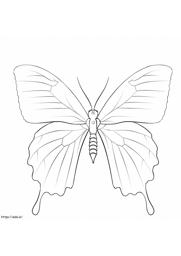 Ulysses vlinder kleurplaat