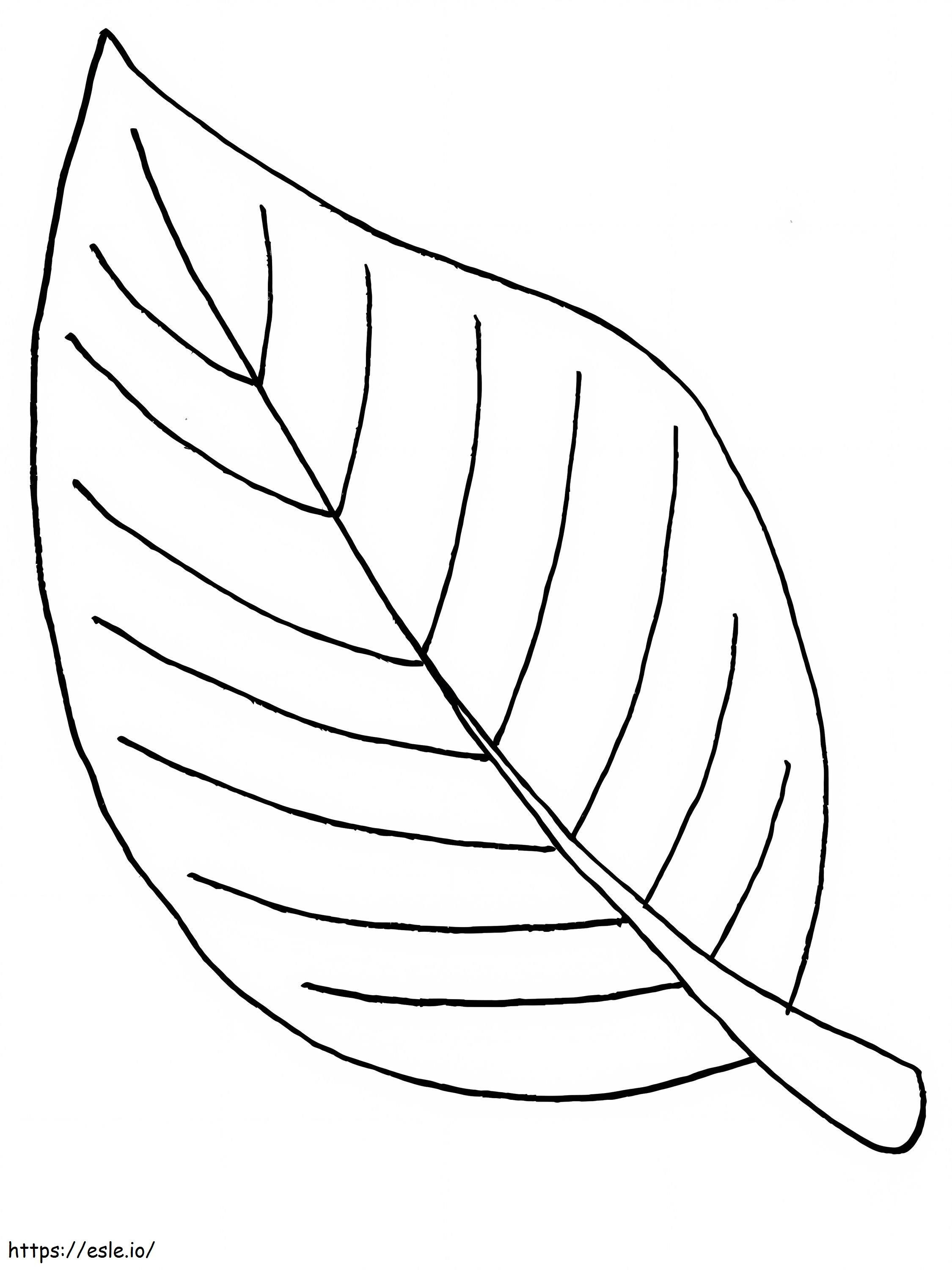 Related Sheet coloring page