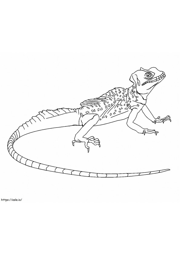 Amazing Lizard coloring page