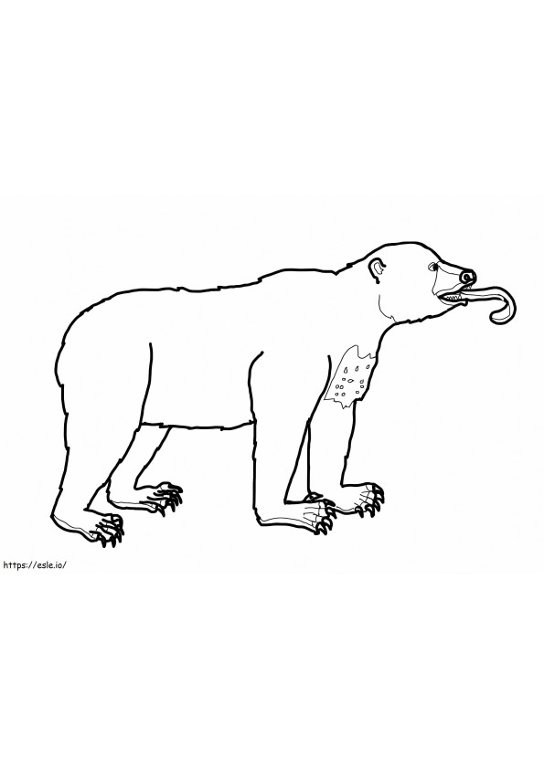 Funny Sun Bear coloring page