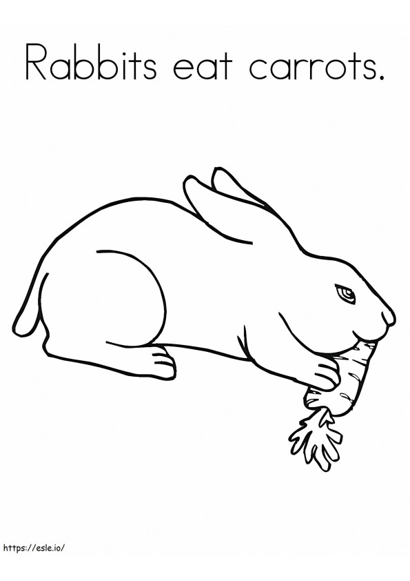 Coloriage Le lapin mange une carotte à imprimer dessin