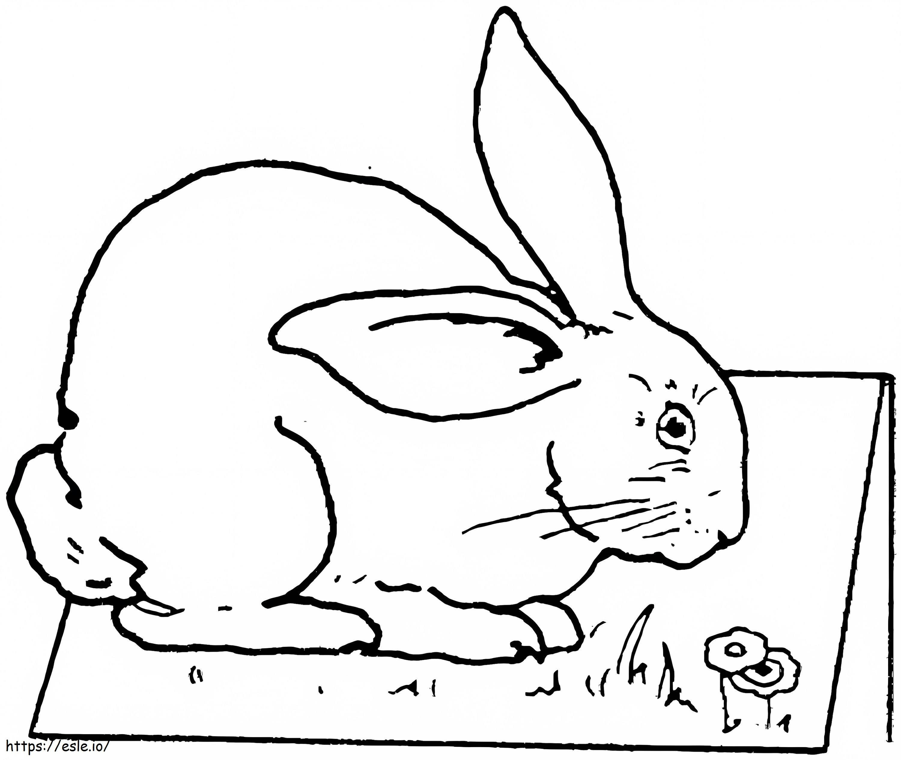 Rabbit On Ground coloring page
