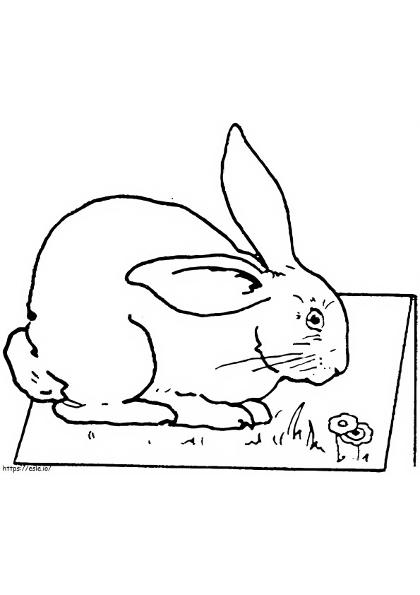 Rabbit On Ground coloring page