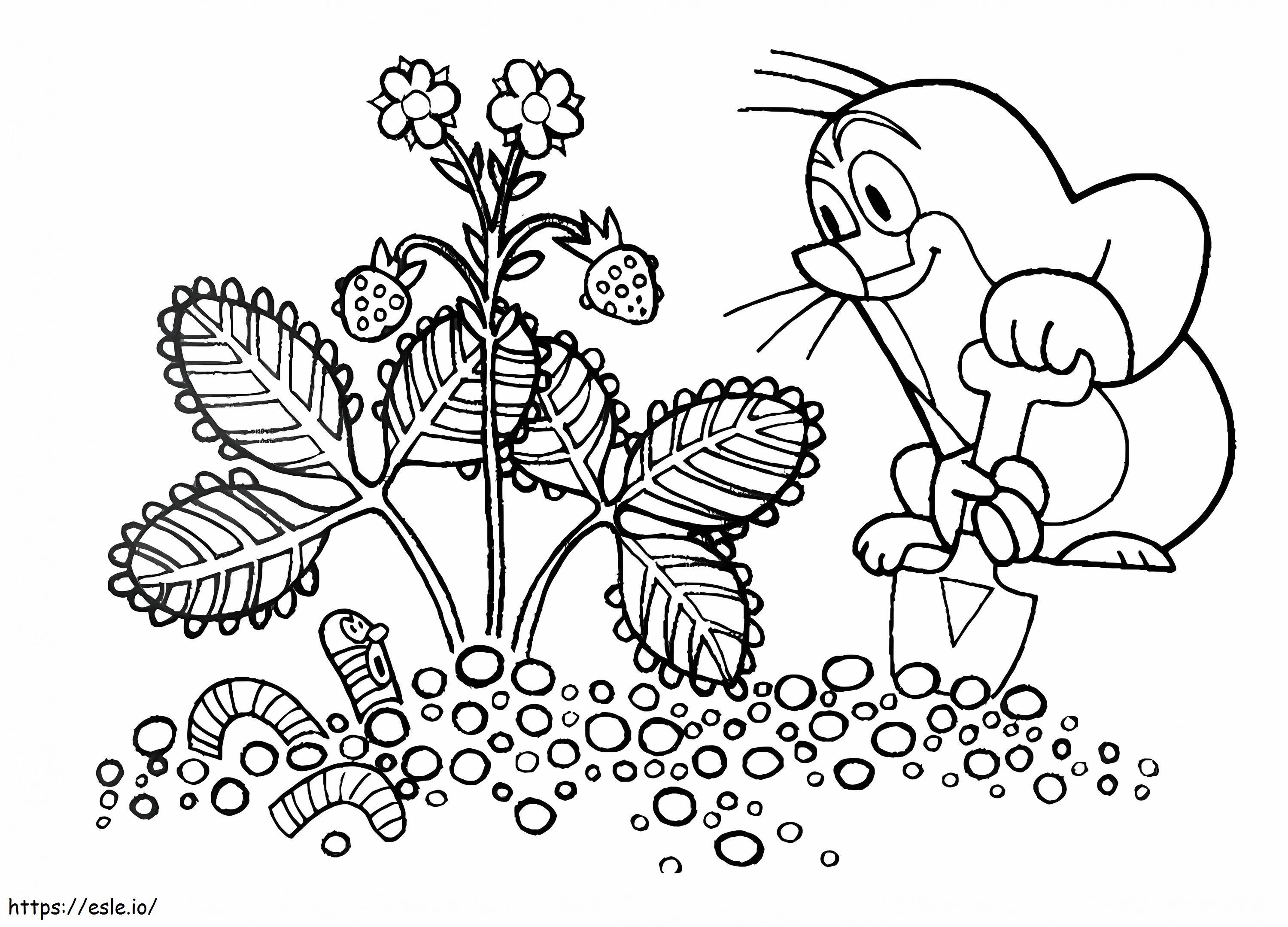 Krtek And Worm coloring page