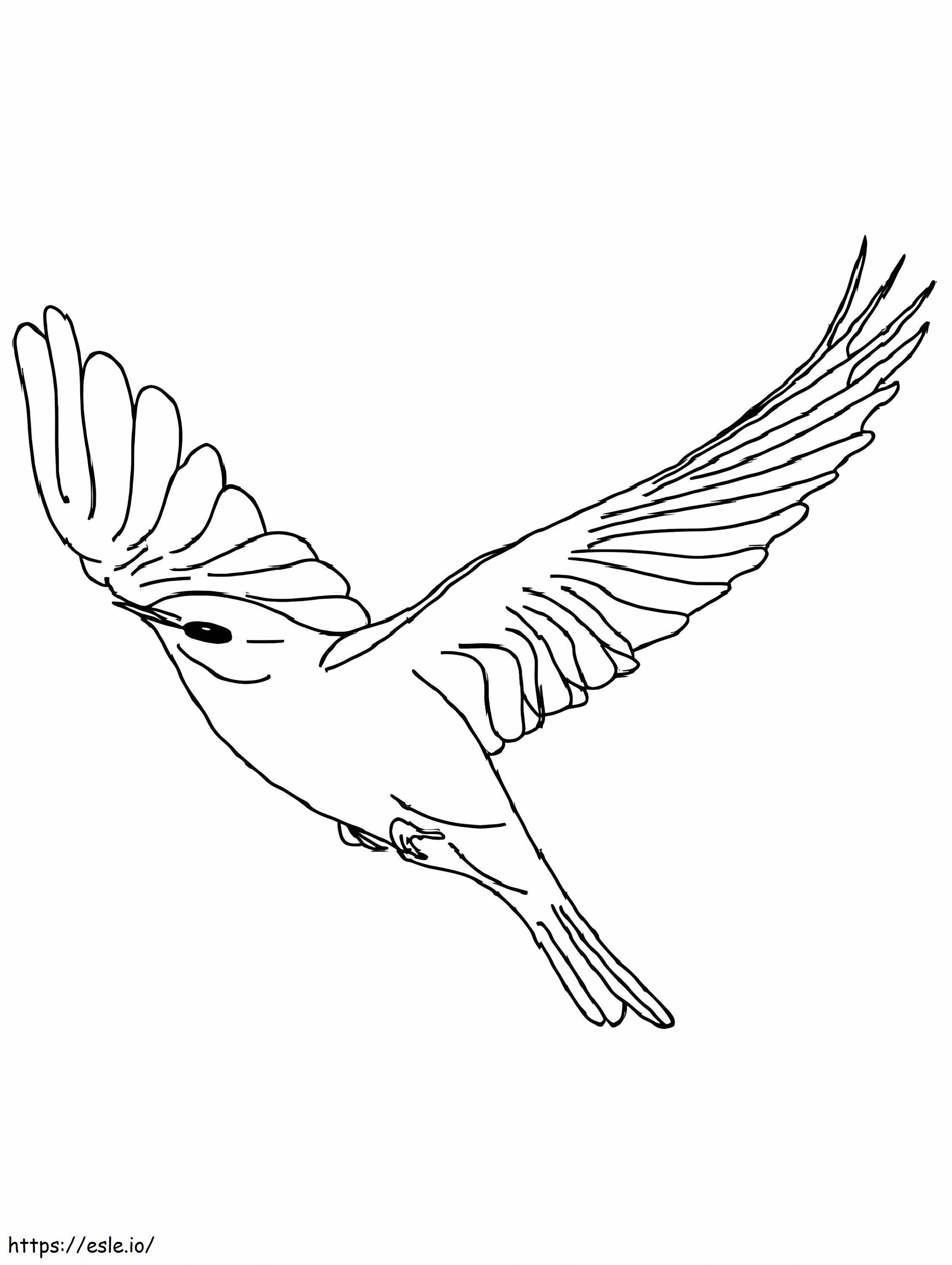 Coloriage Vol d'oiseau canari à imprimer dessin
