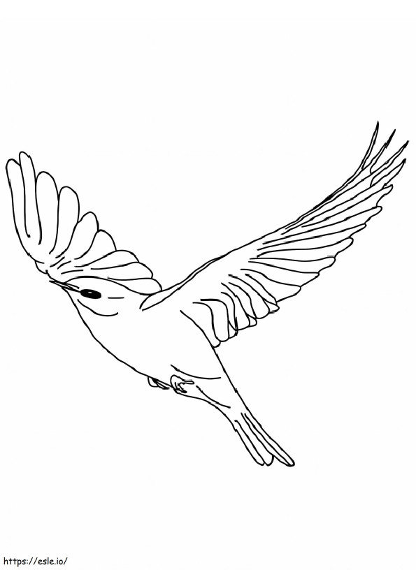 Canary Bird Flight coloring page