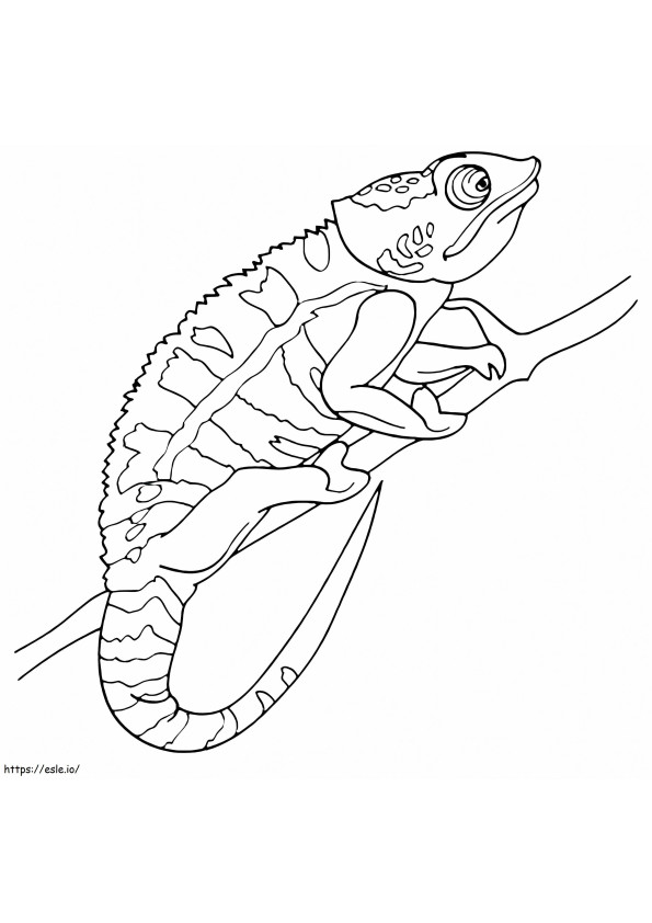 Basic Chameleon coloring page