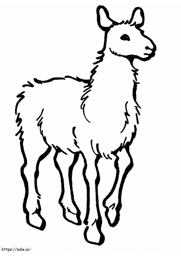 Afdrukbare alpaca kleurplaat