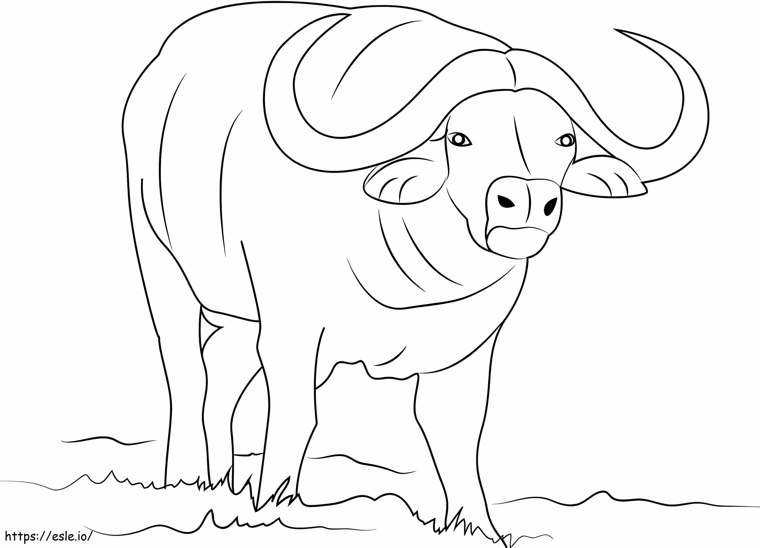 Coloriage Buffalo simplement à imprimer dessin