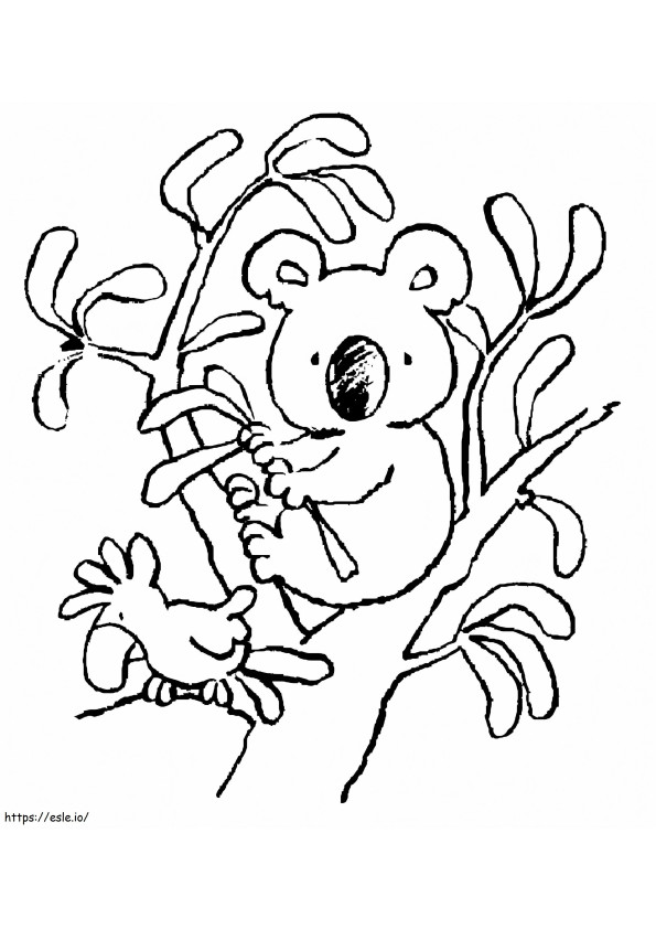 Desenho papagaio e coala para colorir