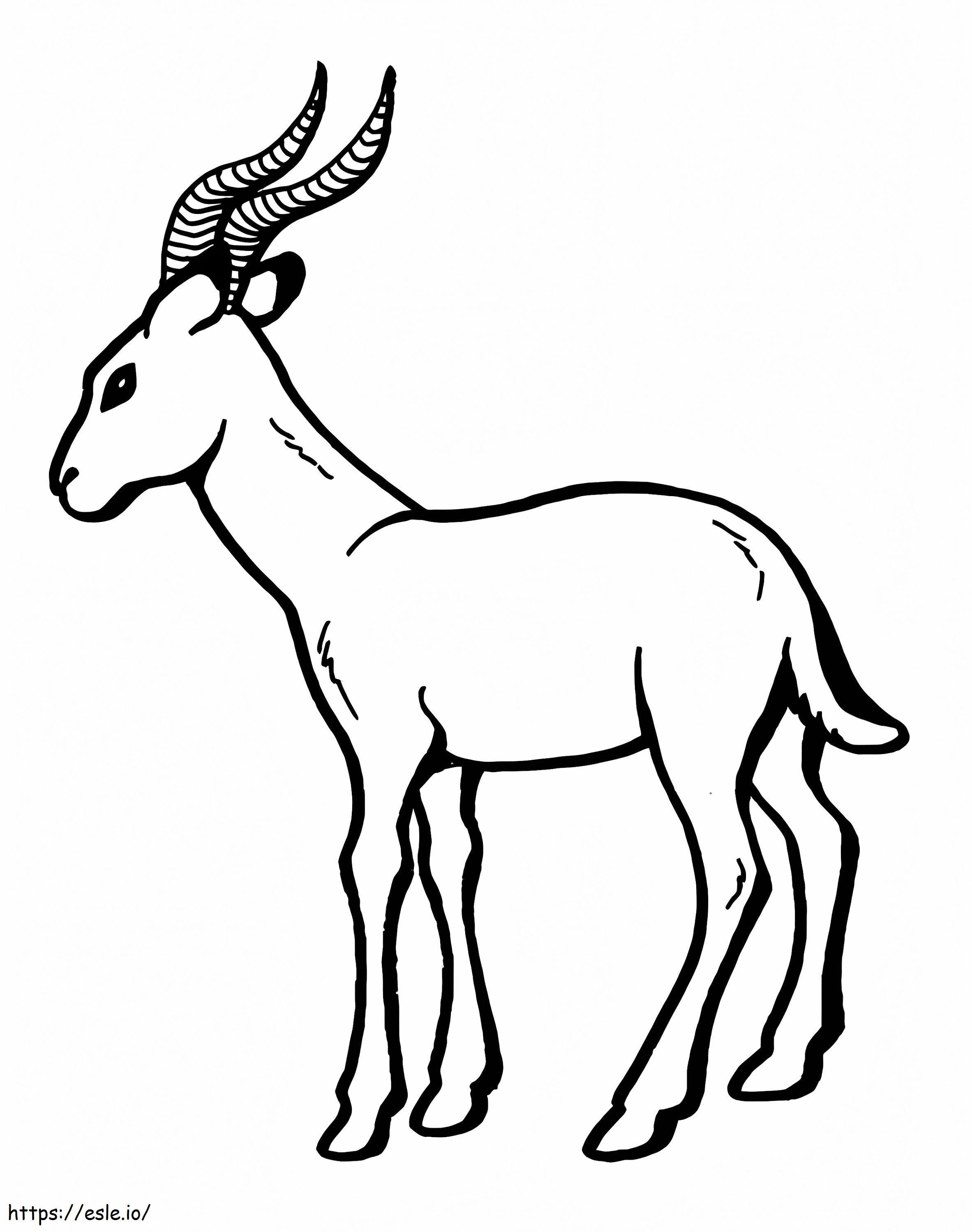 Coloriage Antilope 1 à imprimer dessin