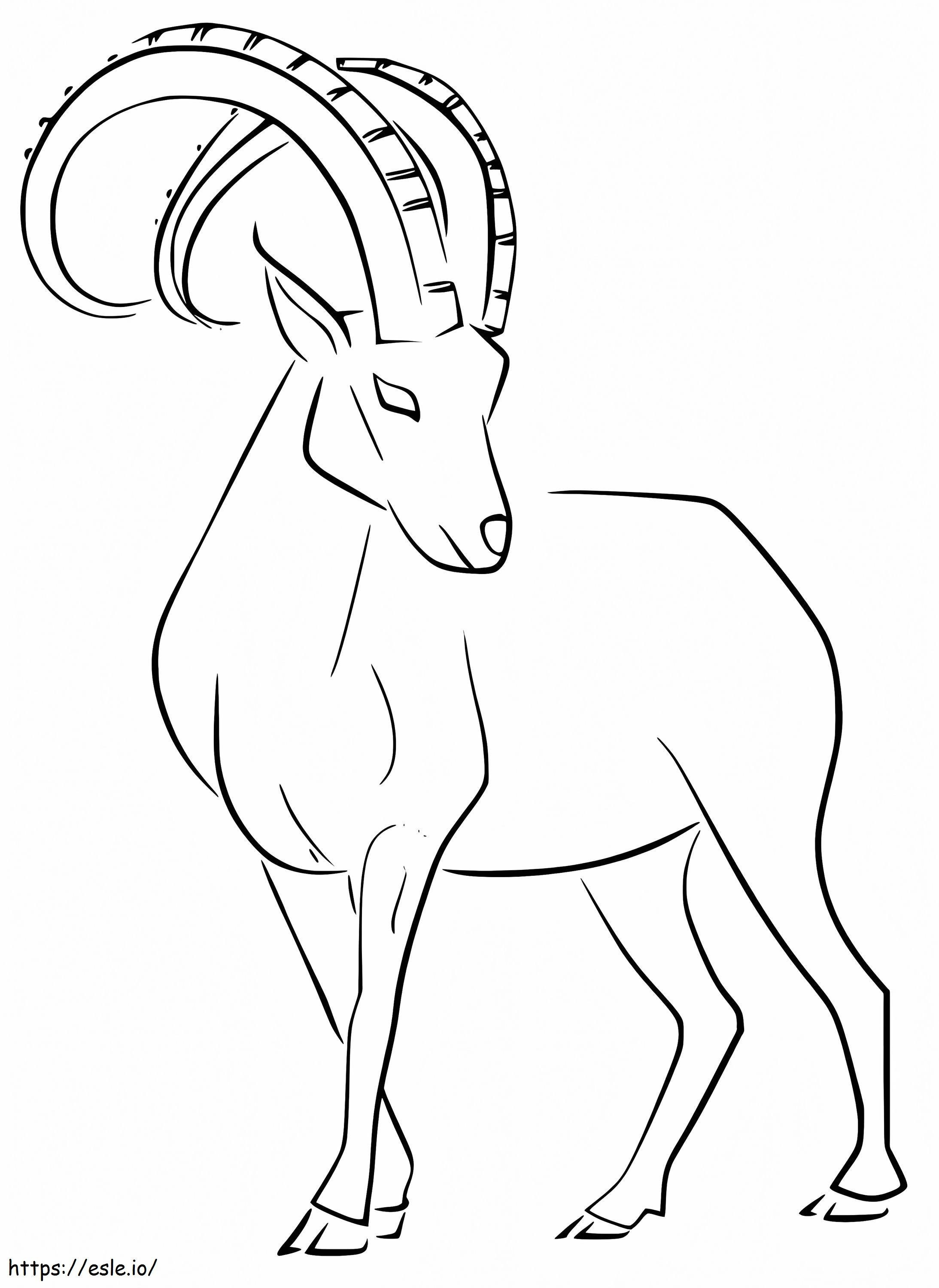 Elegante Ibex para colorir