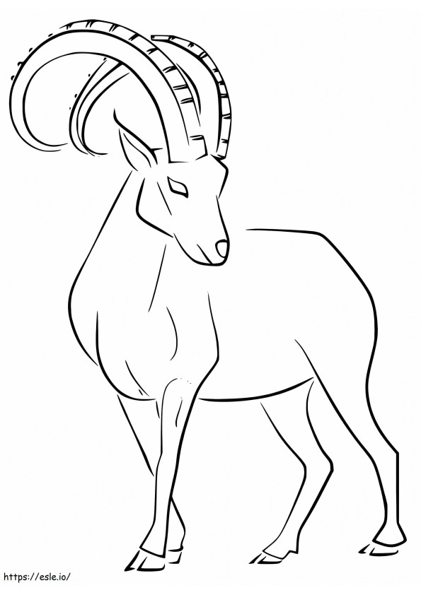 Elegante Ibex para colorir