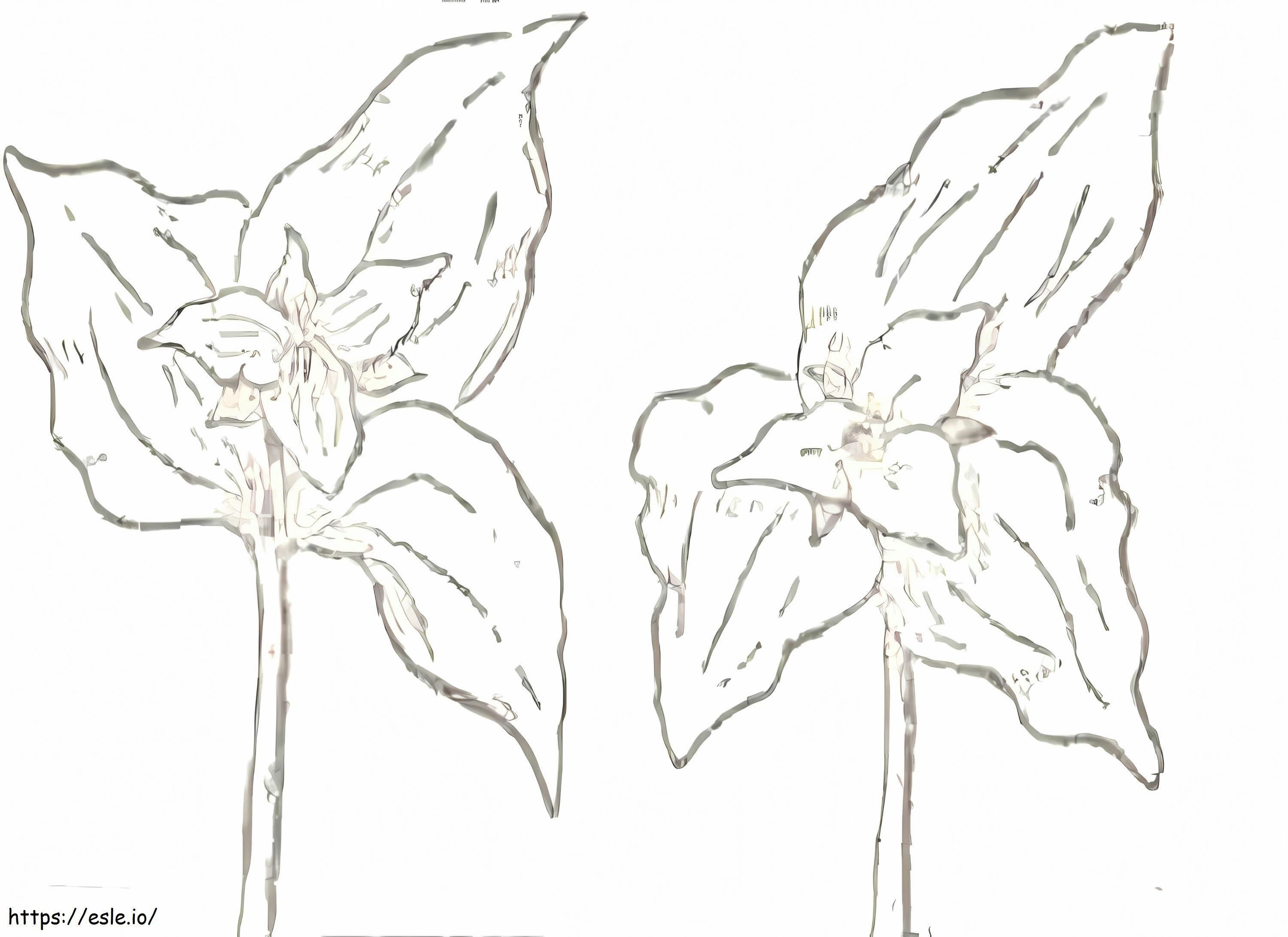 Gift Of Trillium coloring page