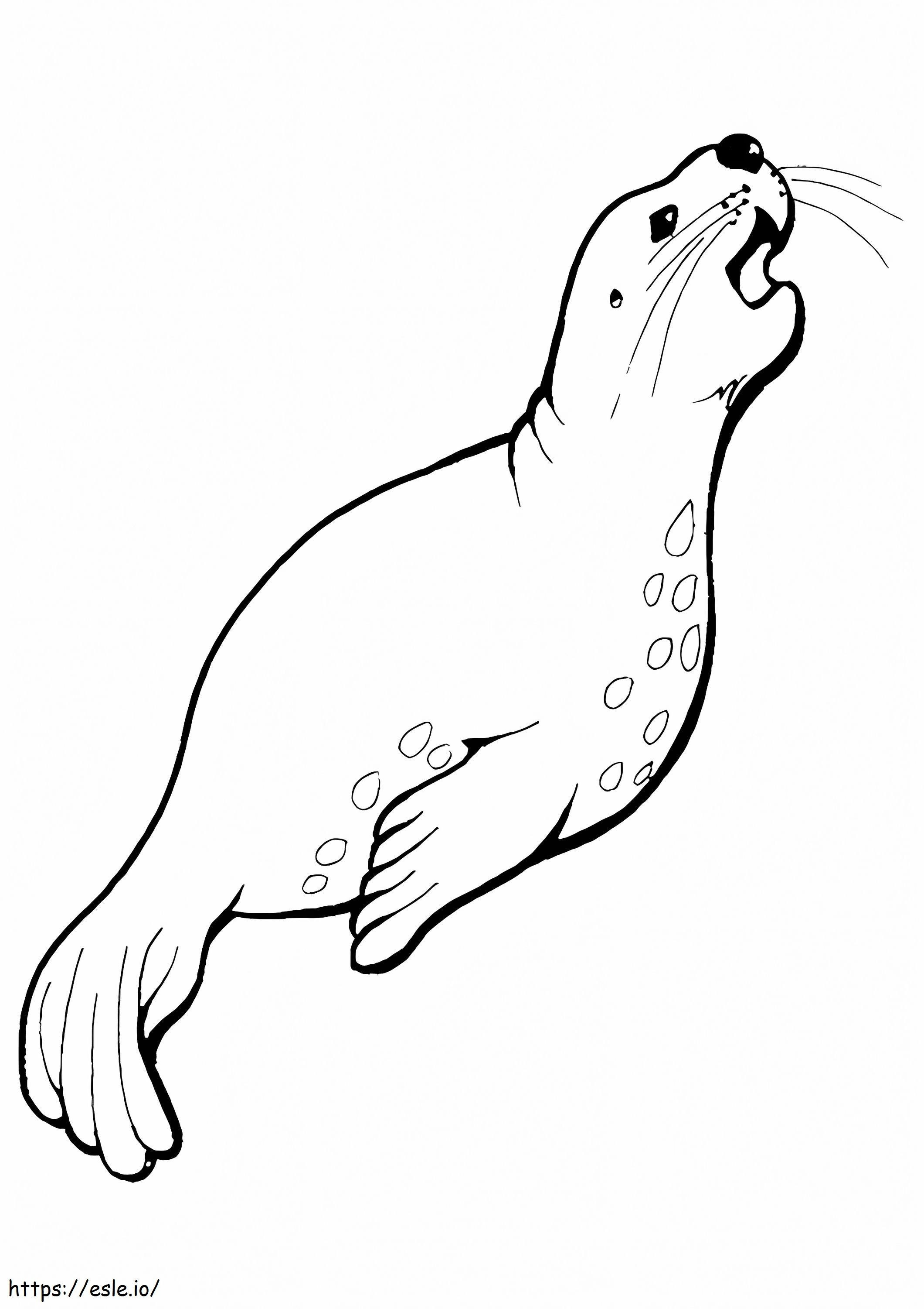 Harbor Seal A4 coloring page