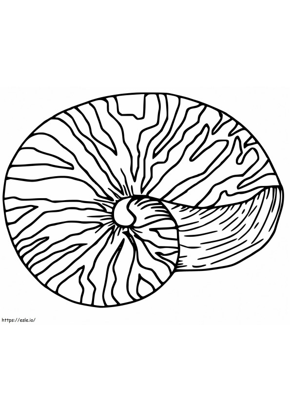オウム貝の殻 2 ぬりえ - 塗り絵