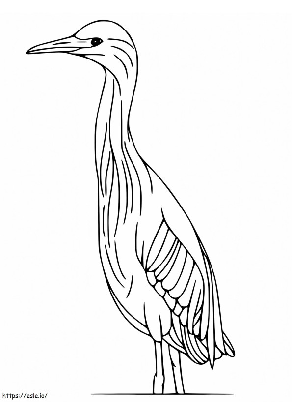 Simple Bittern coloring page