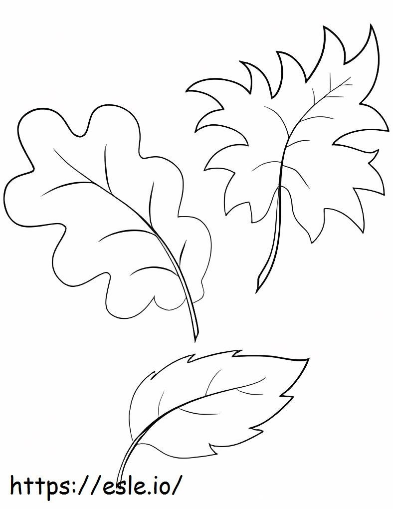 trzy liście kolorowanka