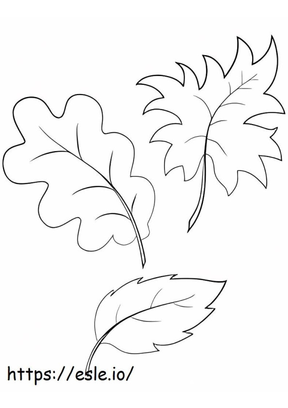 Three Leaves coloring page
