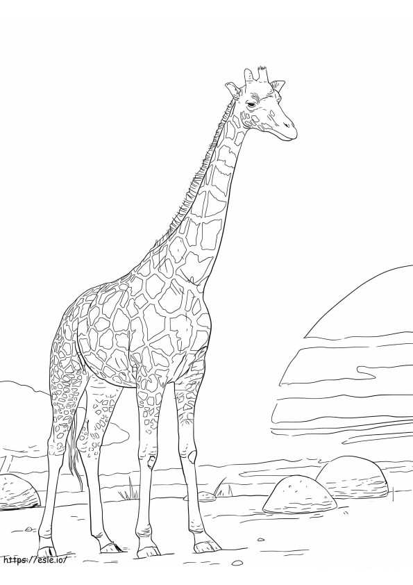 Girafă imprimabilă gratuită de colorat