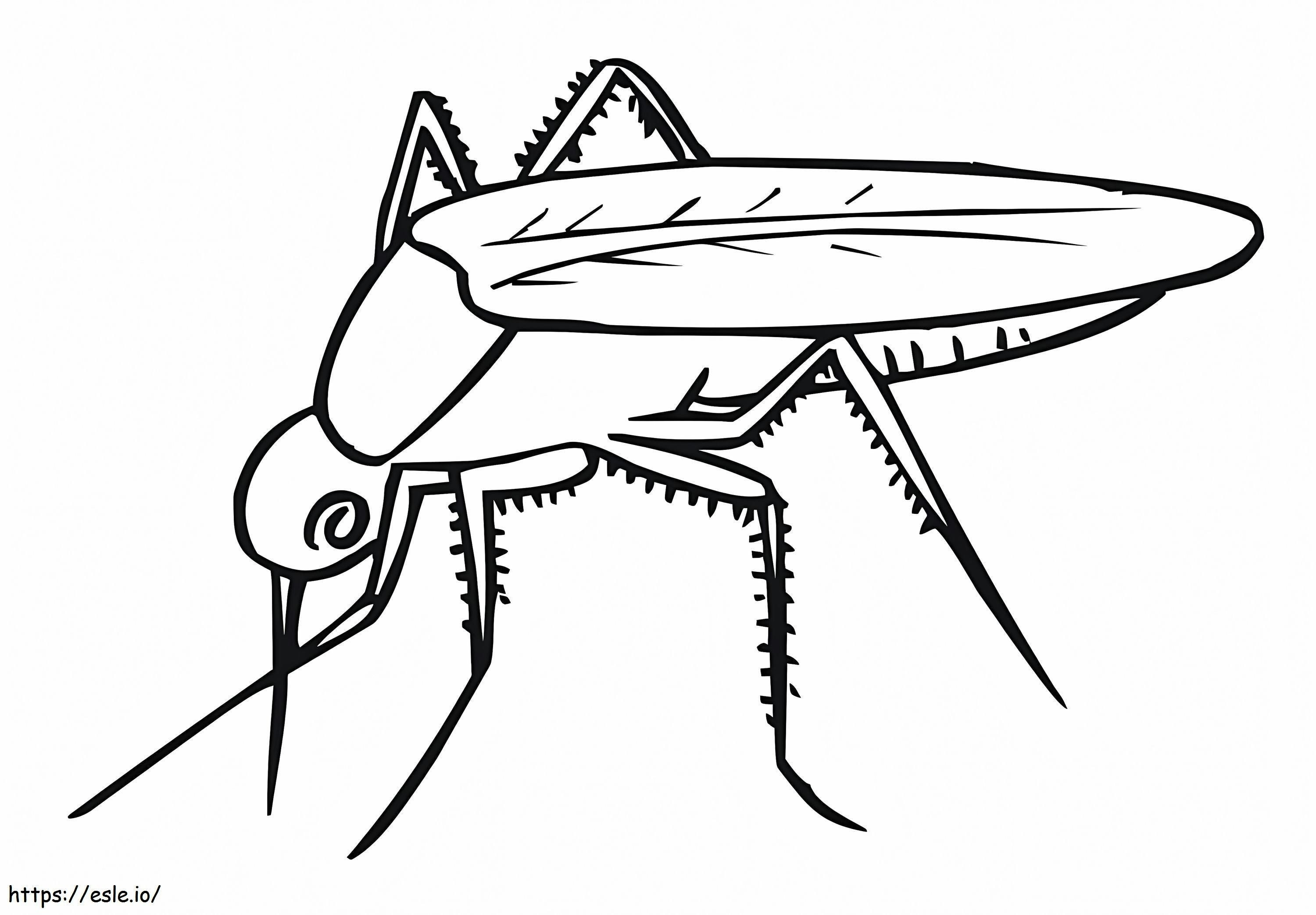 Una semplice zanzara da colorare