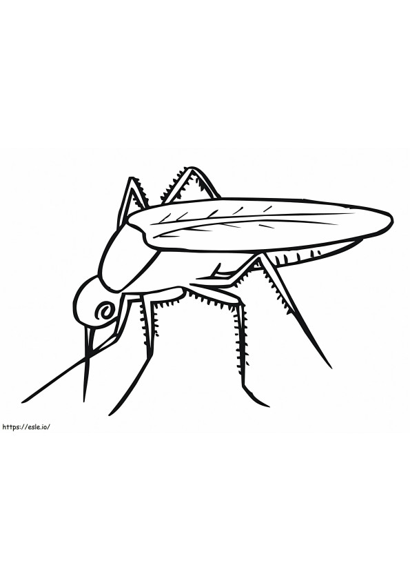 Una semplice zanzara da colorare