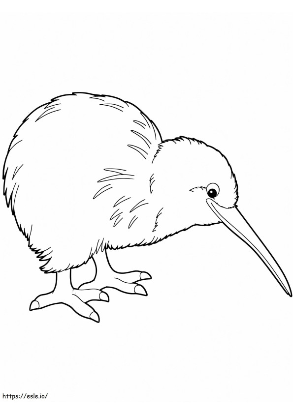 pájaro kiwi simple para colorear