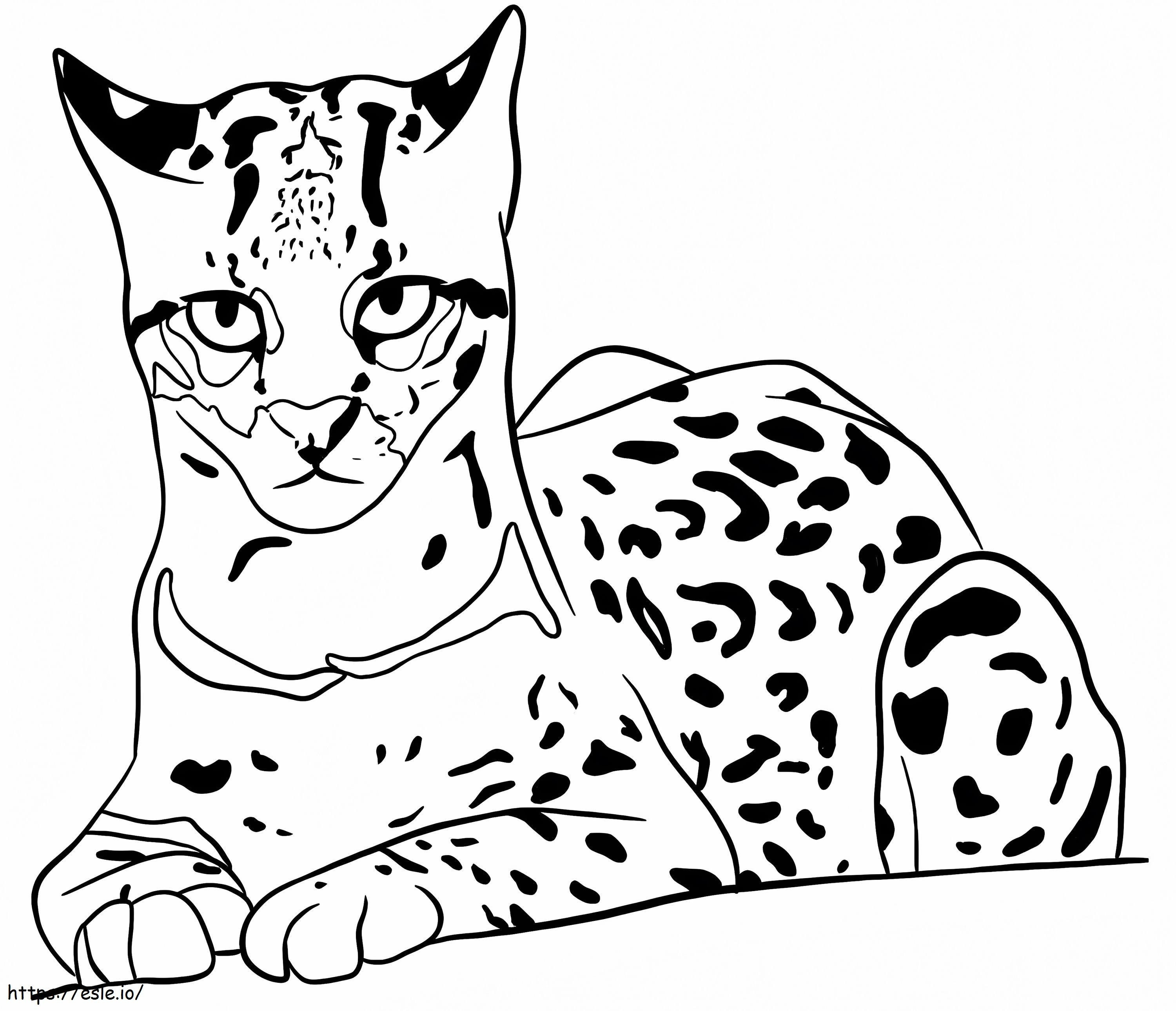 Gattopardo normale da colorare