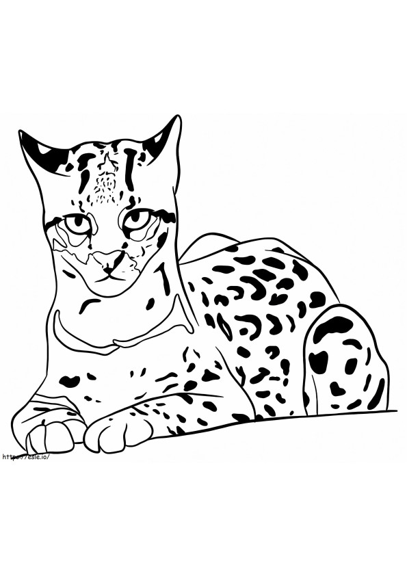 Normal Ocelot coloring page