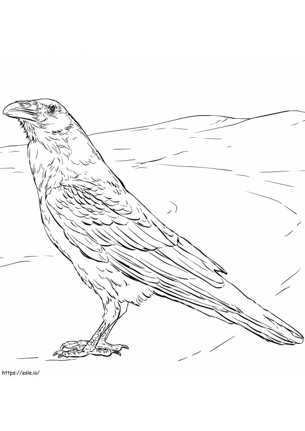 Realisctic Raven coloring page