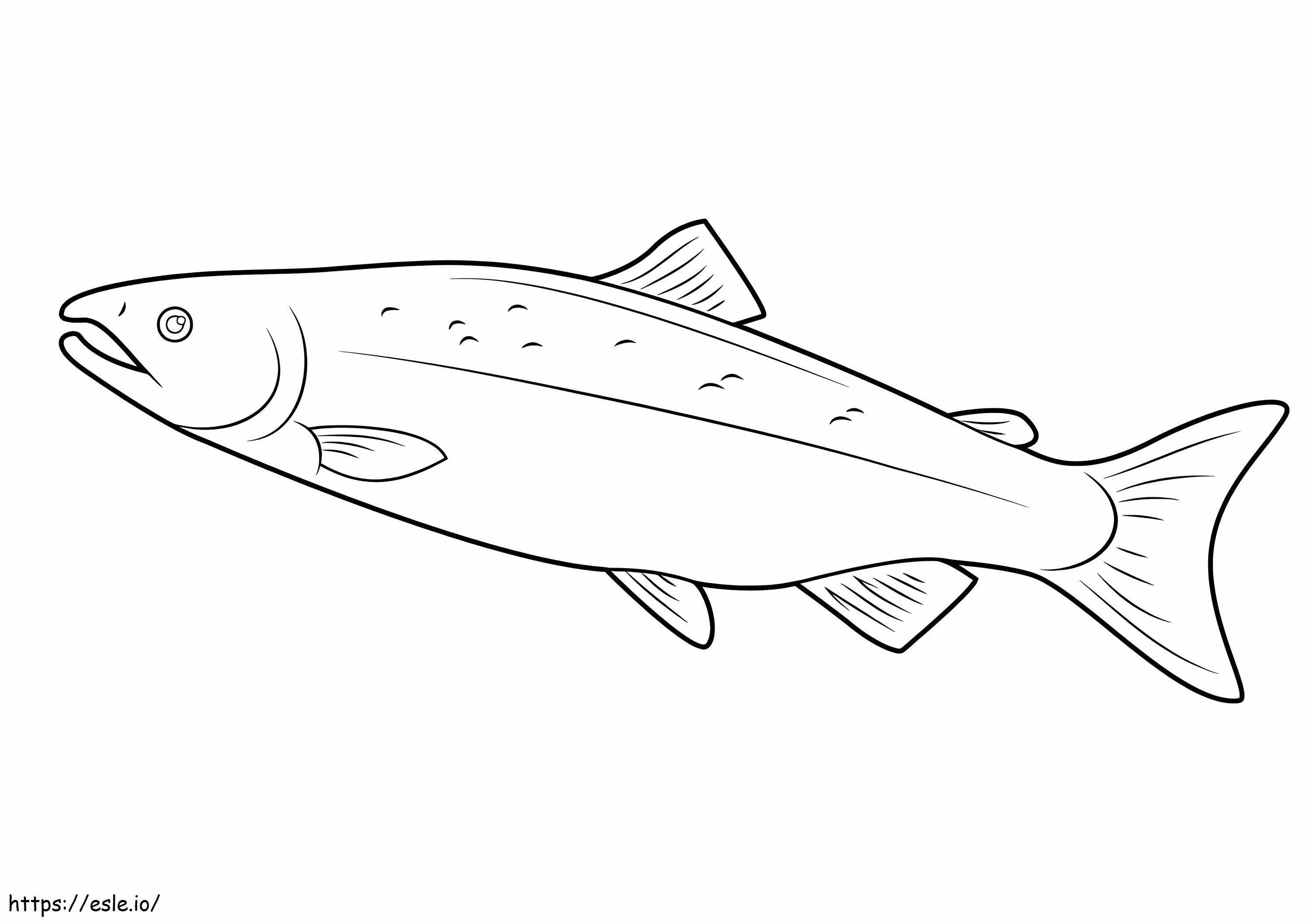 A Salmon coloring page