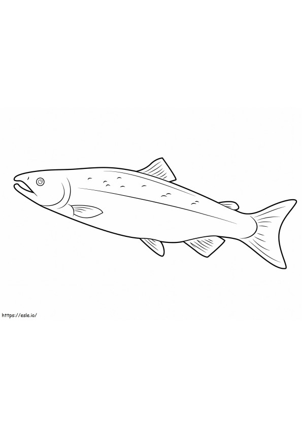 A Salmon coloring page