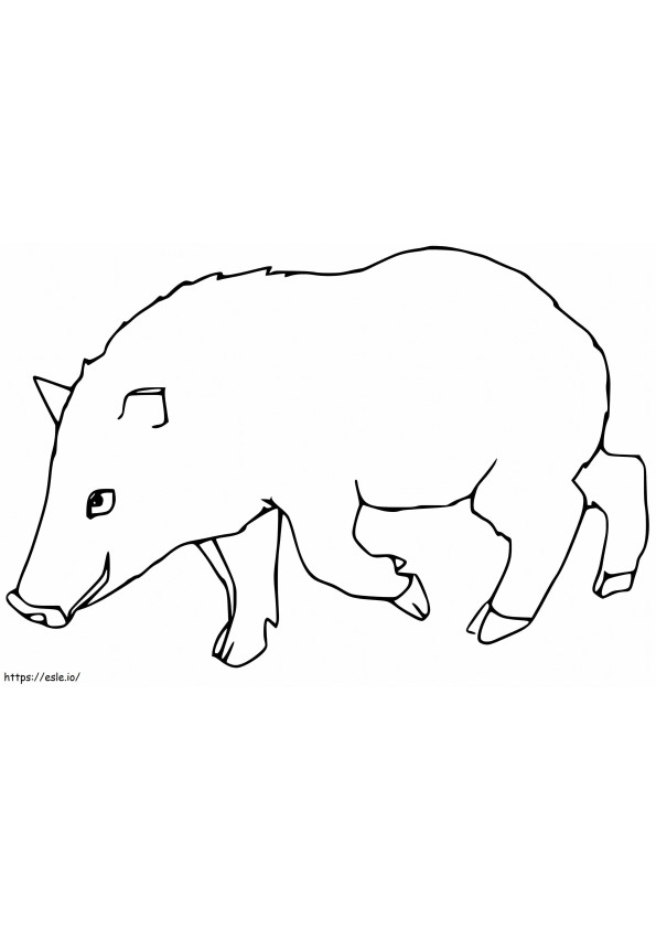 Free Peccary coloring page