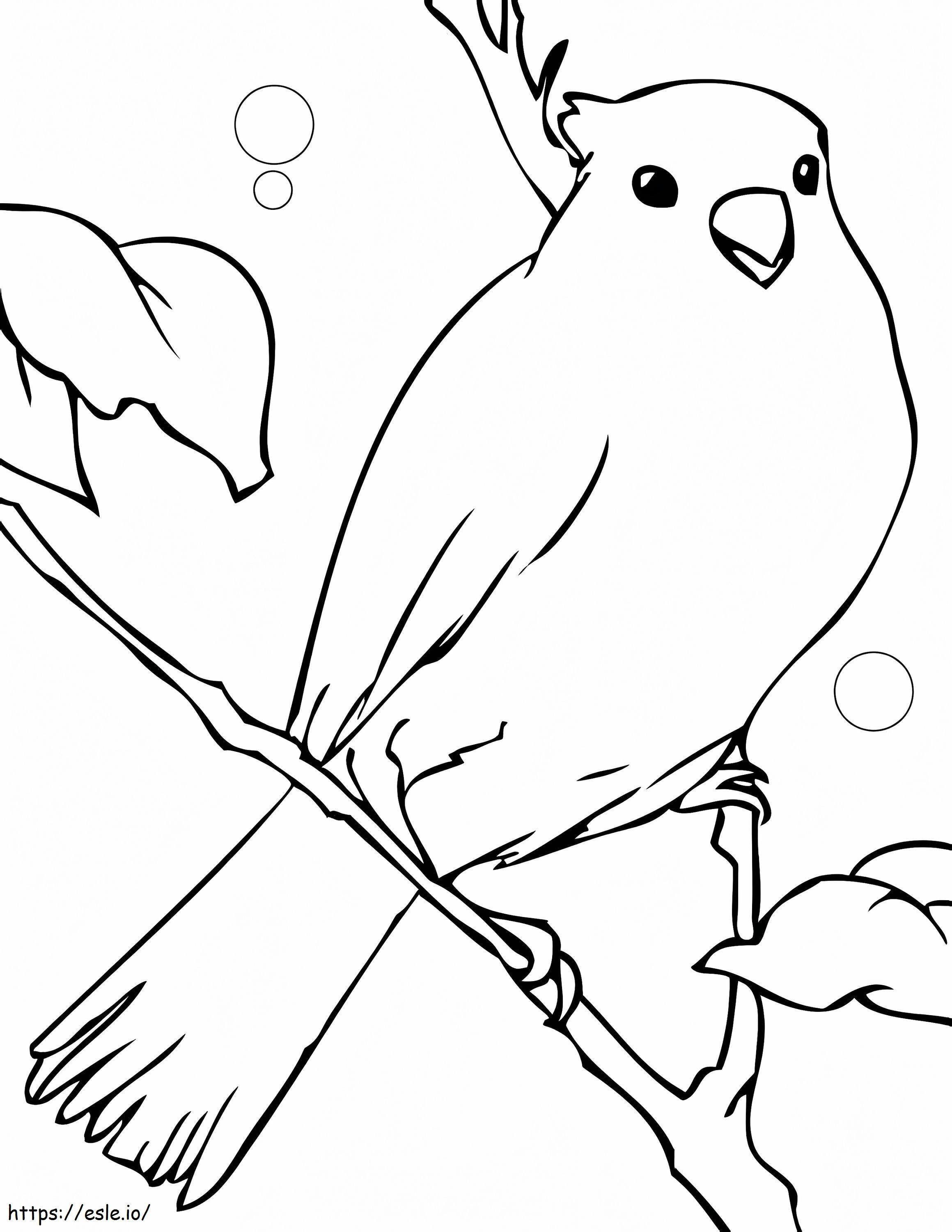 Great Canary Bird coloring page