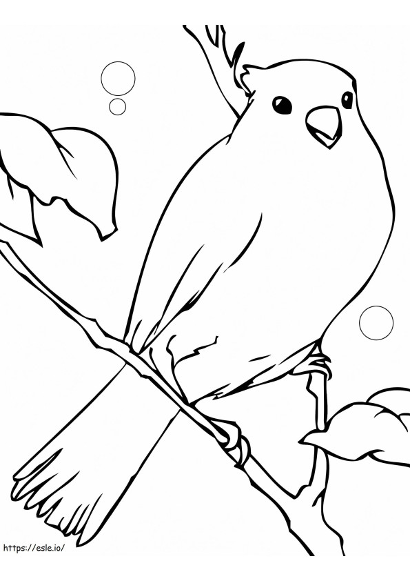 Coloriage Grand oiseau canari à imprimer dessin