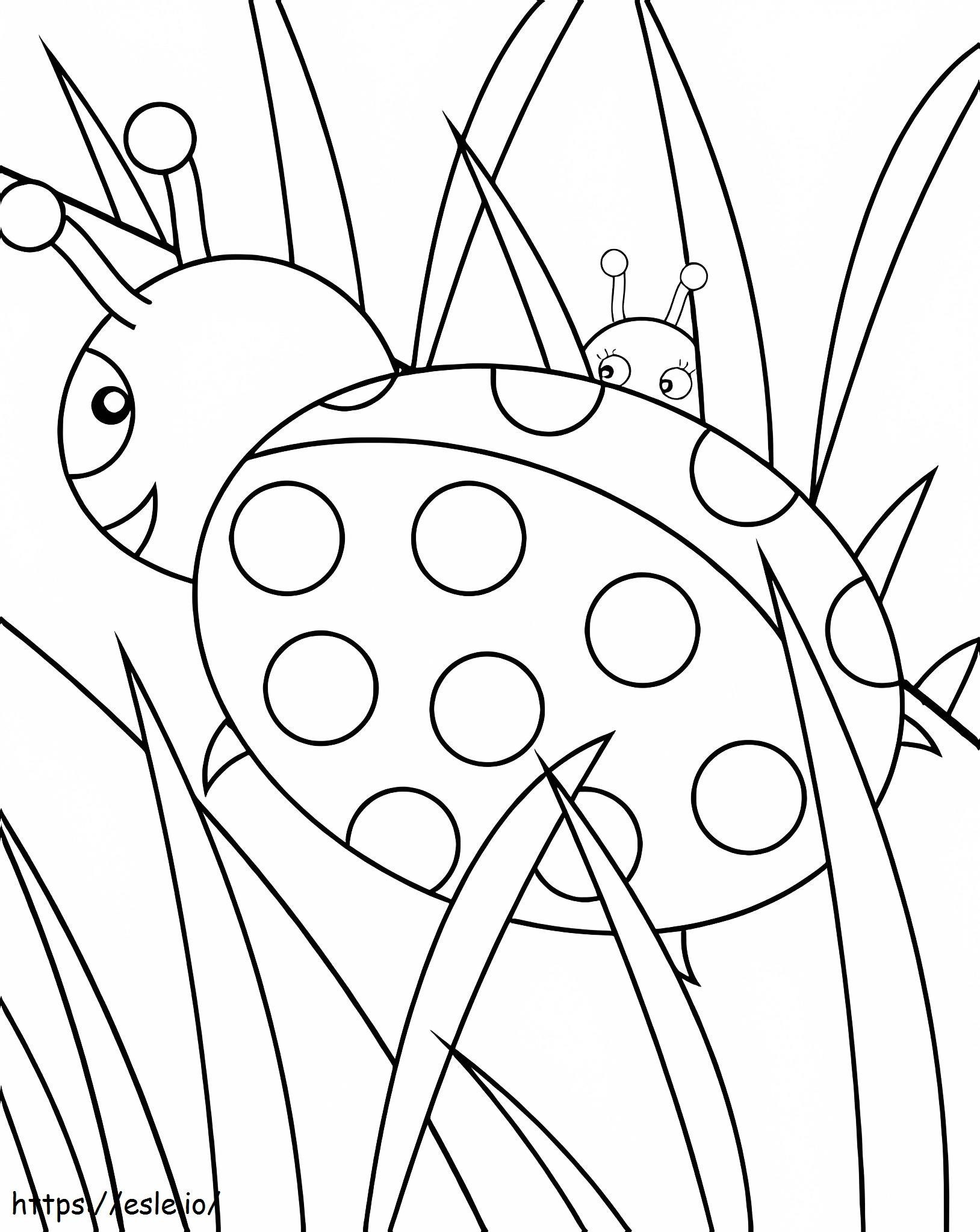 Groot lieveheersbeestje kleurplaat kleurplaat